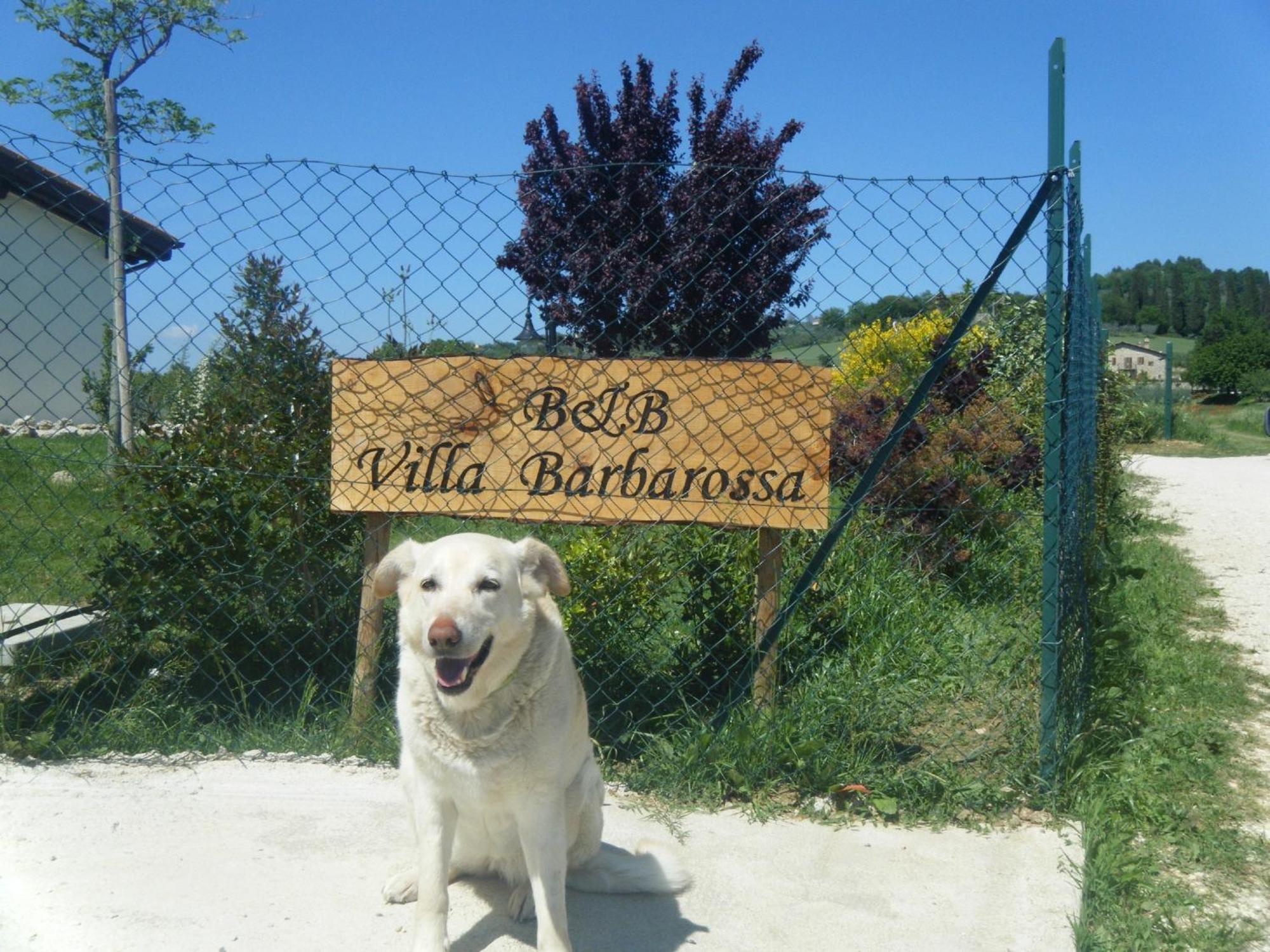 B&B Villa Barbarossa Petrignano Екстер'єр фото